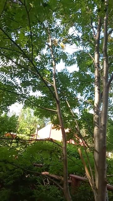 1000194109.mp4 Тишина