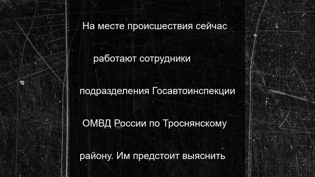В Орловской области произошло смертельное ДТП с пассажирским автобусов