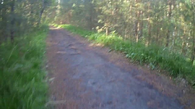 По дорожкам лесным!!!