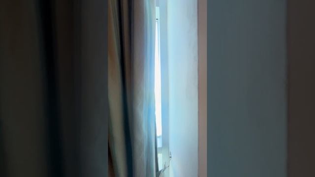 LONICERA RESORT & SPA 5*.  Турция(Анталья)
