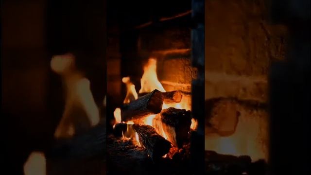 VID_20250623_131719_757.mp4