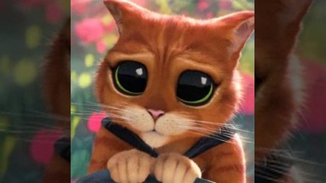 Спасибо вам !!! моим любимым подписчикам💗💗💗💖 спасибо за 13 подписок!!!🐾✨🌟