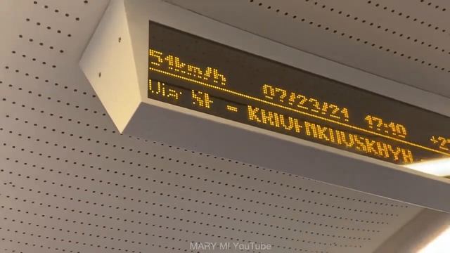 Сочи Парк Отель 🌴 Пошёл дождь! А мы собираемся домой! Чёрное море Сириус 🐳