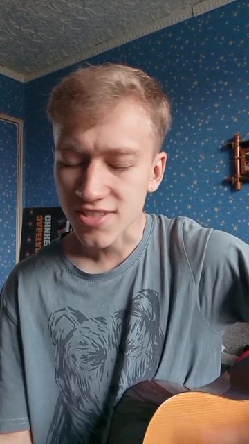 Wildways - #wildways #километры #гитара #музыка #вокал #кавер #песня #guitar #cover #музыка