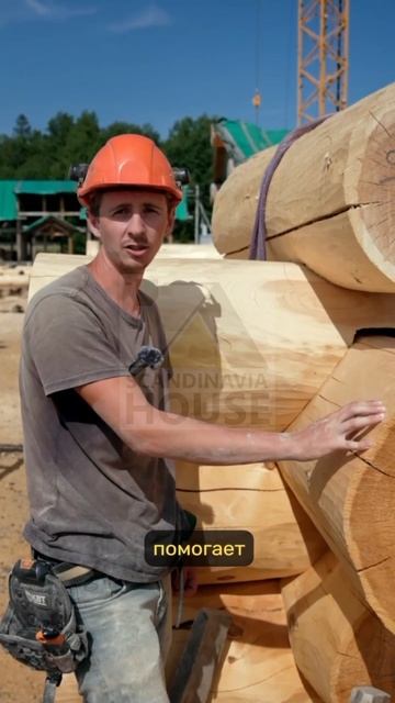 Для чего нужны затесы на чашах в канадской рубке?