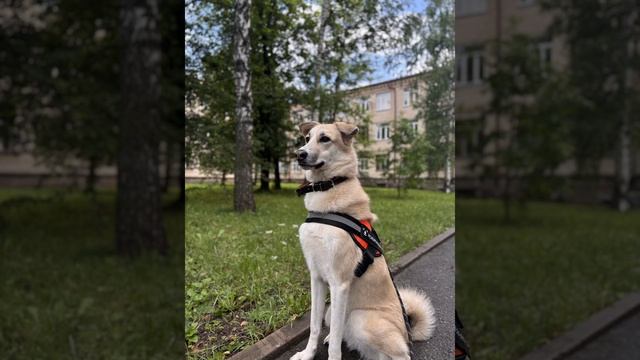 бусинки мои