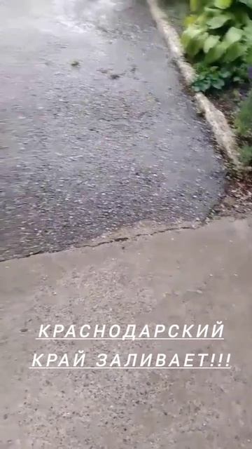 Дождик 🌧️