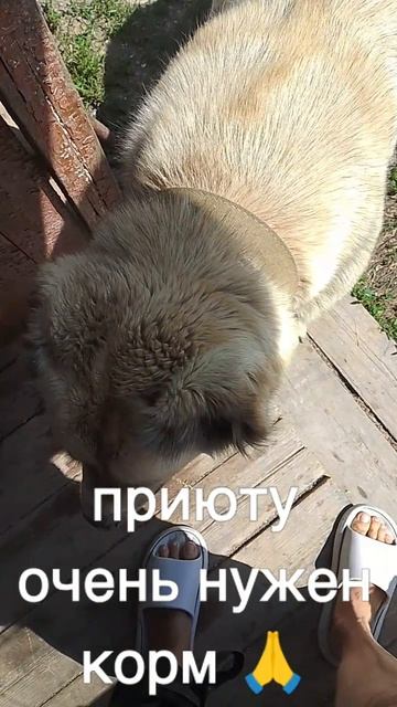 8985 193 0027 сбер, элплат