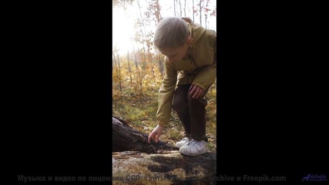 Эта мелодия сделает виды настолько ярче, что ахнешь - Sunday Grey -- Ketsa -- Equinox Rising