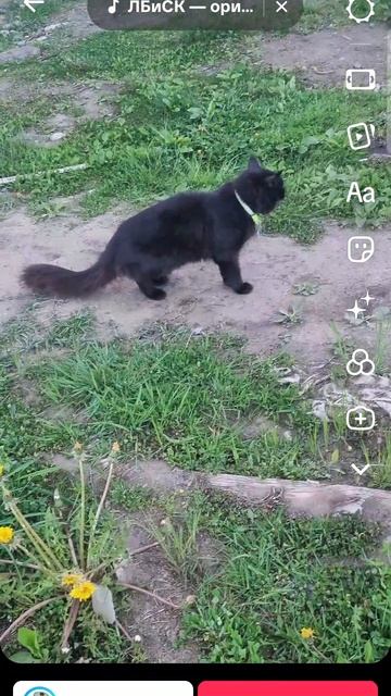 1000009927.mp4
