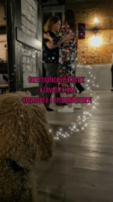 ❤️Милые новости TangoStream.