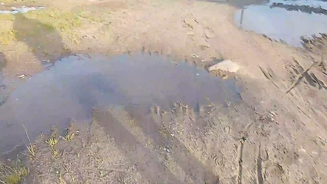 Я ГУЛЯЮ В РЕАЛЬНОЙ ЖИЗНИ.
