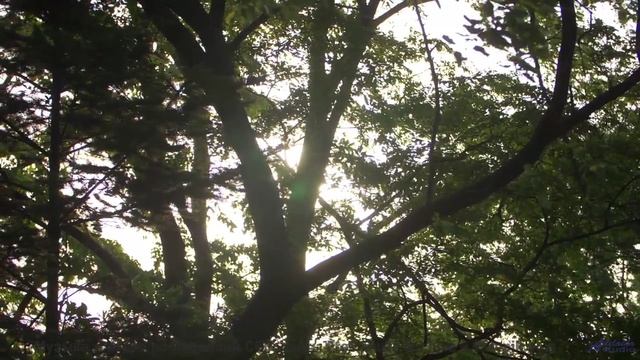Камера взлетает в небо под этот потрясающий бит - Rotten Guy -- HighWay17 -- Rotten Guy