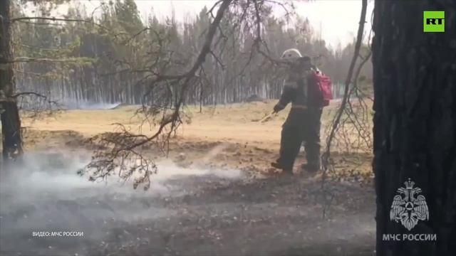 Забайкалье в огне: спасатели МЧС борются с природным пожаром вблизи посёлка Атамановка