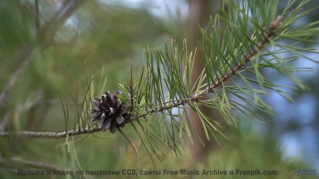 Природа создала эти пейзажи, а мы добавили идеальный саундтрек! - Sun-Inside -- Ketsa -- The Lost Fi