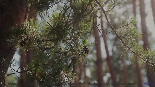 Эта музыка заставит вас пересмотреть свою жизнь! - After You -- Ketsa -- Equinox Rising