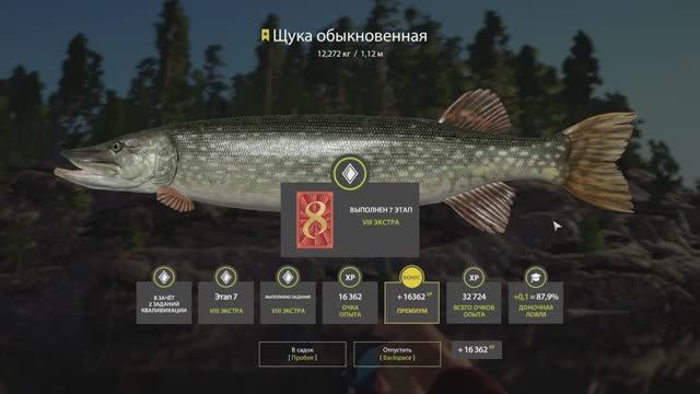 Русская Рыбалка 4-Задание Экстра: Щука обыкновенная менее 10 кг оз. Ладожское