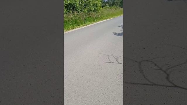 Город Павлова Старое Щербинино 3 часть