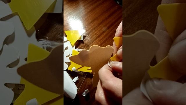 Ловушки для насекомых 26.02.2024