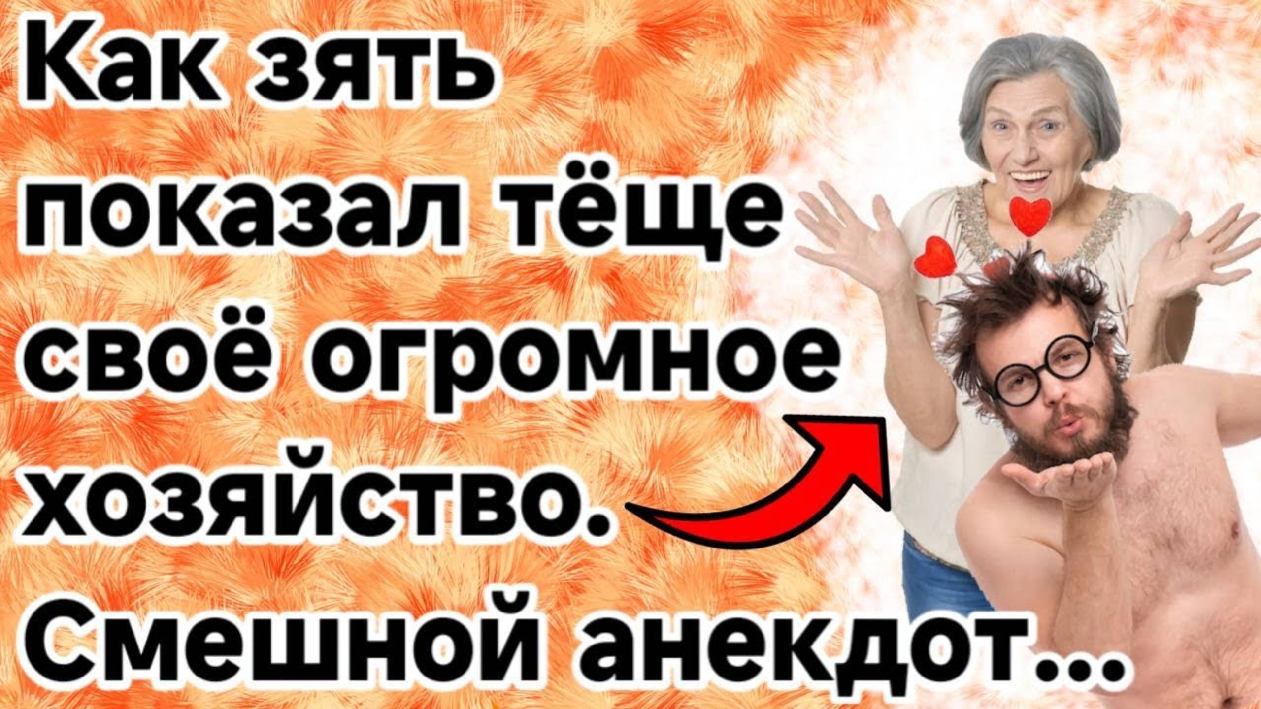 Зять показал тёще своё хозяйство. Сборник анекдотов