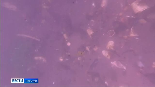 Экологическую акцию провели на Ангаре