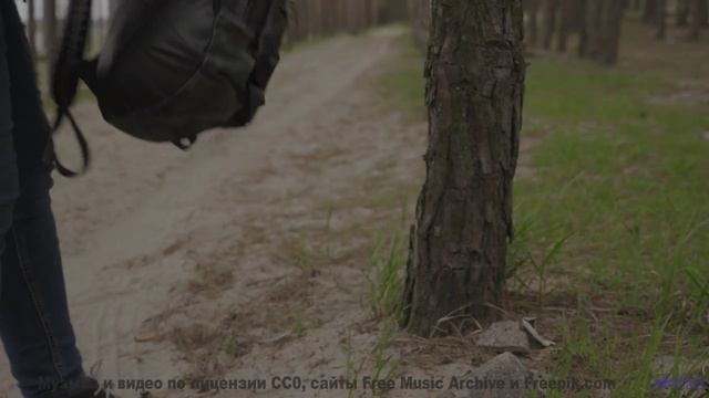 Вы не видели закат таким, пока не включили этот трек! - Mix it Up -- Golden Duck Orchestra -- Golden