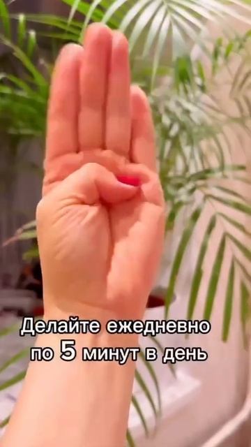 VID_20250623_125838_531.mp4