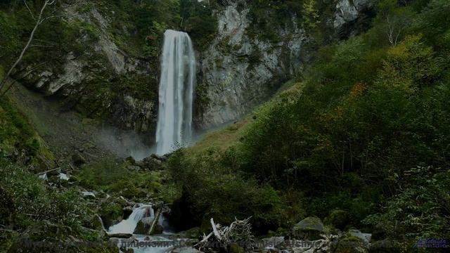 Эта композиция взломала хит-парады - алгоритмы против человечества! - Spontaneous Disappearance -- B
