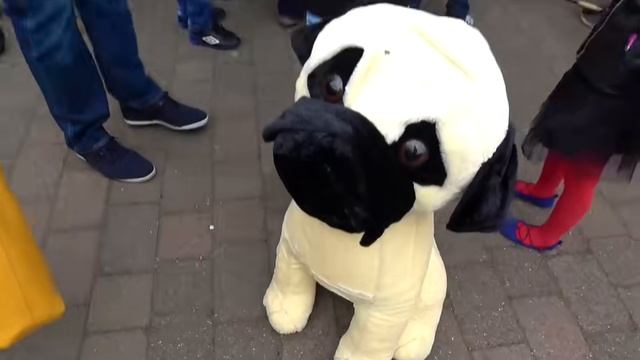 Мистер Макс LEGOLAND Англия ⧸ Крутые американские горки ⧸ Выиграли собаку