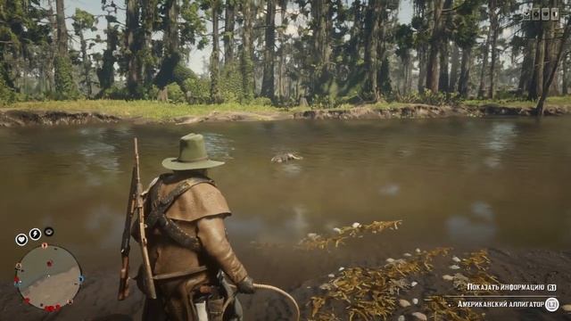 Red Dead Online лайфхак вообще про аллигаторов