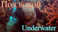 Под водой