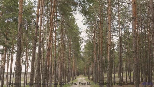 Камера и трек сливаются в безупречный поток красоты - Traverse -- A. A. Aalto -- Connections