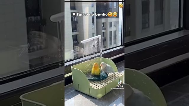 VID_20250623_234945_120.mp4