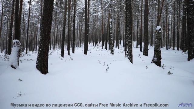 Кадры, снятые наномикроскопом - увидите невидимое! - Get Down -- Independent Music Licensing Collect