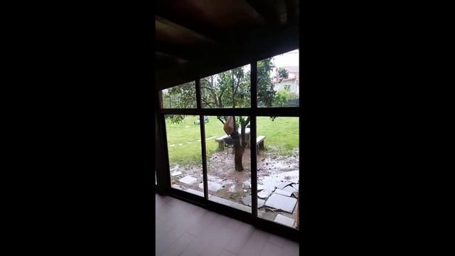 МОЙ ПУТЬ САНТЬЯГО. 4 ЧАСТЬ. Vigo-Padron. Исцеление и встреча с родственной душой