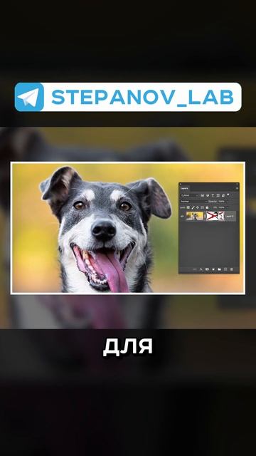 ОСНОВЫ PHOTOSHOP №13: ОБТРАВОЧНЫЕ МАСКИ #photoshop #дизайн #фриланс