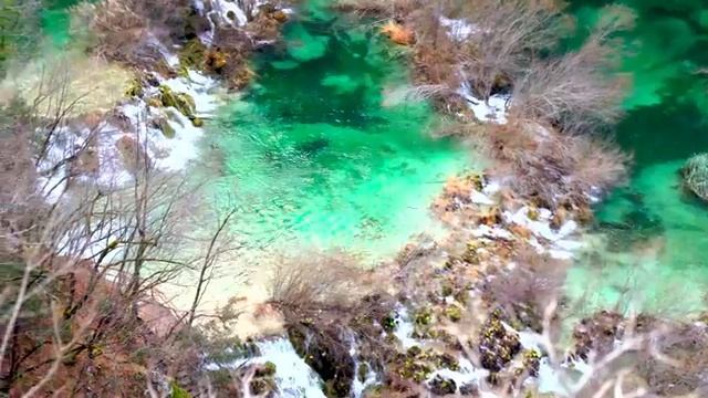 Спокойное дыхание земли под музыку лесной гармонии - Часть 1