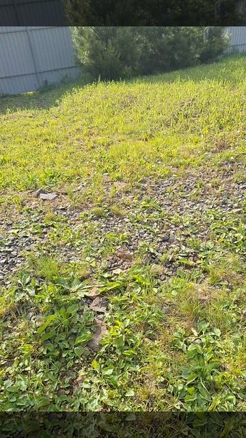 Штука для готовки