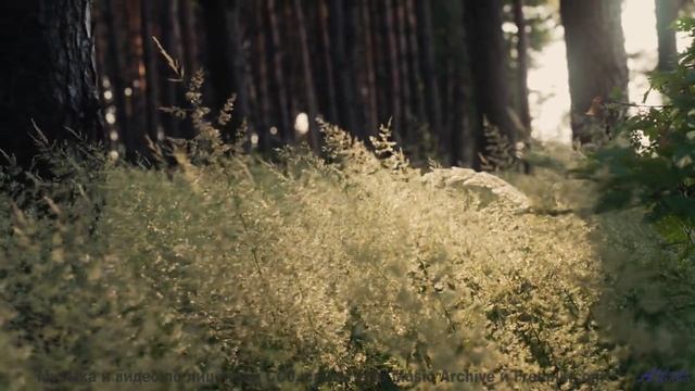 Эта песня звучит так, будто её написал сам ветер в горах! - Commencement to the Abra Melin Operation