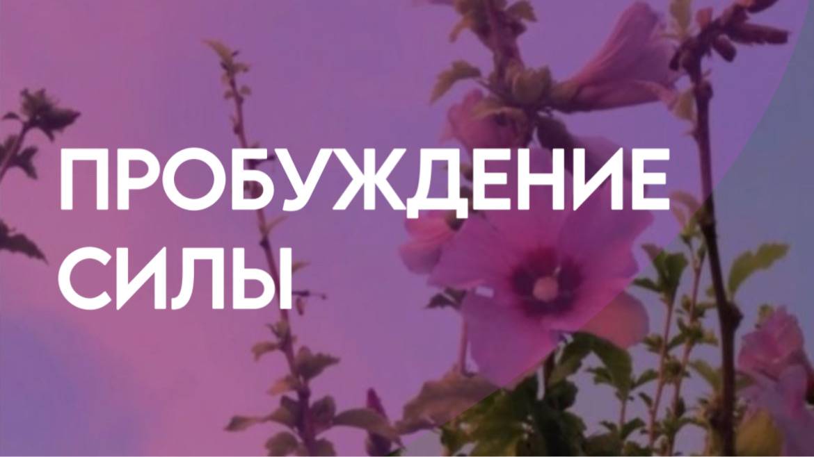 Действие и Энергия | Пробуждение Силы | Путь к Целям