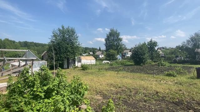 Ромашка