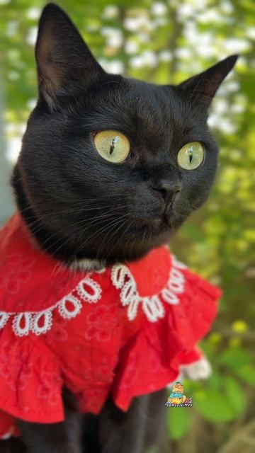 Моя ❤️хулиганка😻