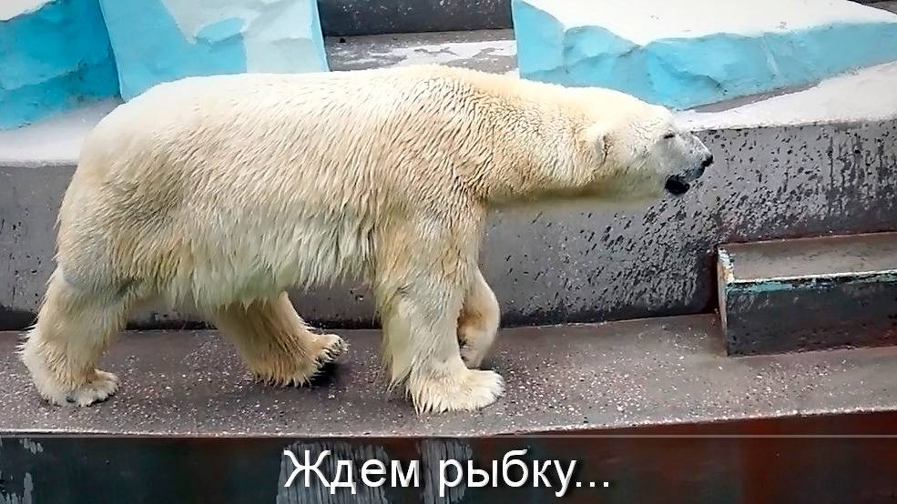 Кай и Герда. Во время завтрака возникла непростая ситуация.