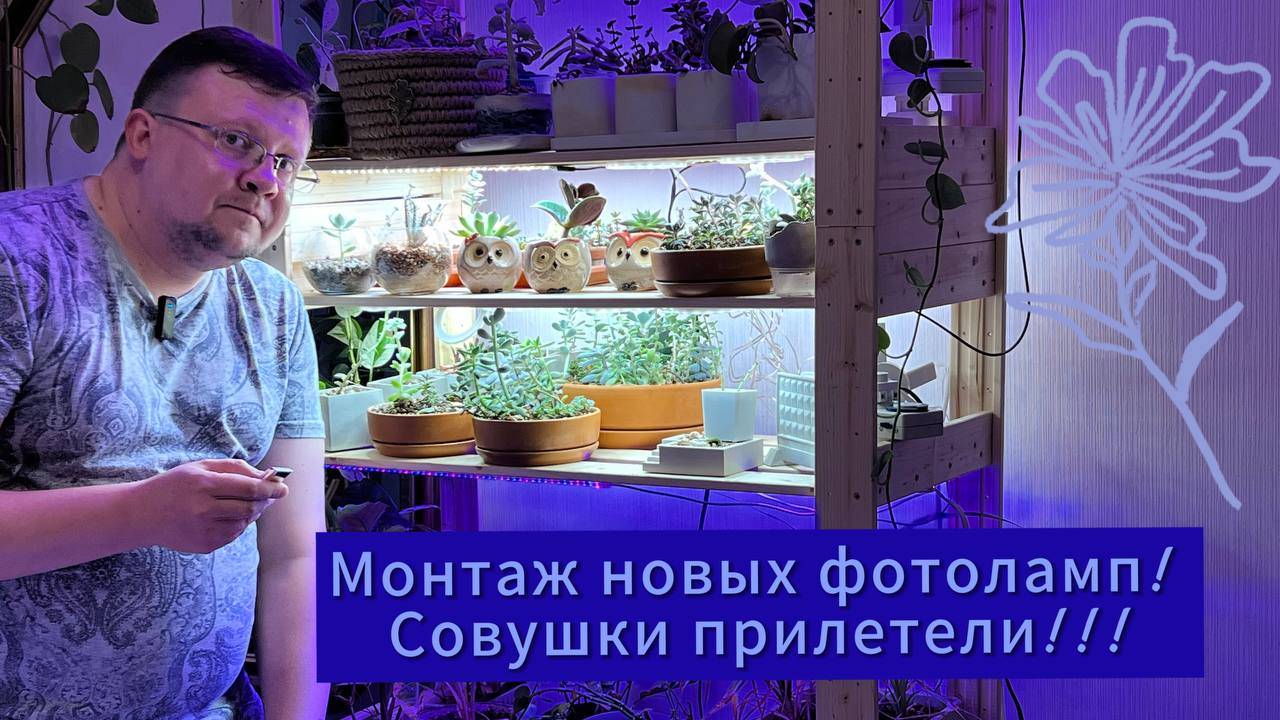 Монтаж новых фитоламп с WILDBERRIES ! Совы обрели жителей!