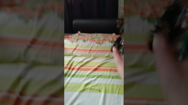 новая игрушка