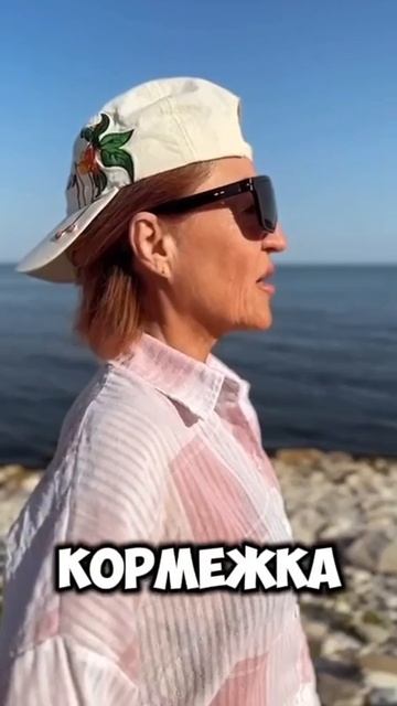 Как поднять человека после инсульта?