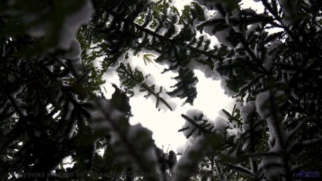 Природная гармония, которая вдохновит на признания в любви! - Soft and Nothing -- Soft and Furious -