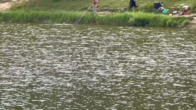 1000090698.mp4
