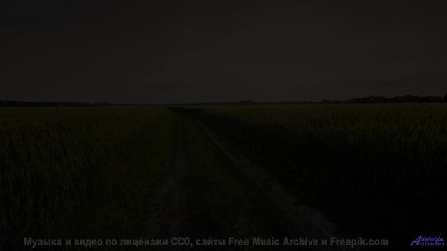 Эти виды и звуки вскружат голову - How Do You Really Feel -- Steve Combs -- Jaw