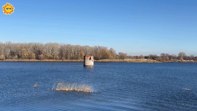 Саратов: аквапарк На Волне! Фуд мол Гастродвор, кафе Гуси и Пьяная Настя.